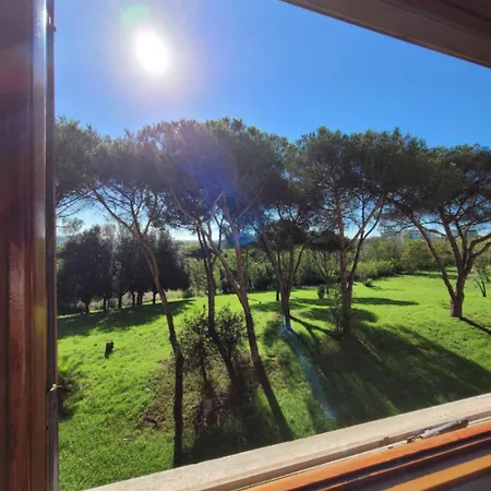Panoramico Eur Apartment *