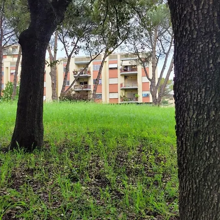 Panoramico Eur Apartment